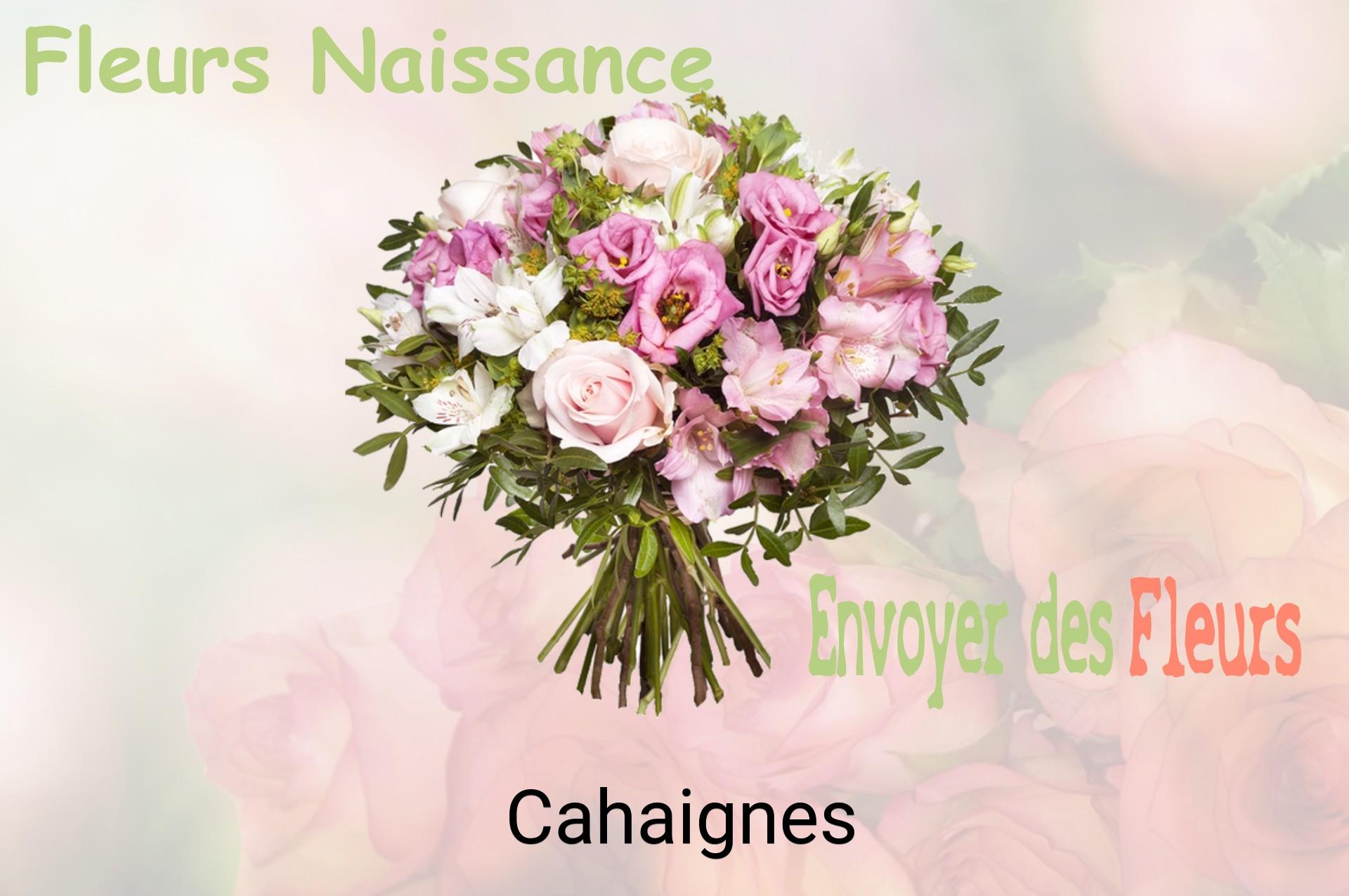 Bouquet de fleurs de naissance livré à Cahaignes